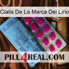 Lily Brand Cialis 35